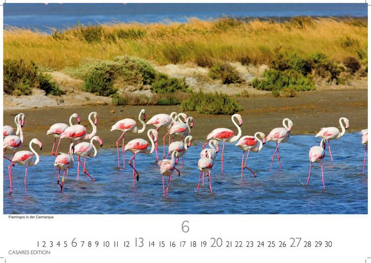 Produktbild: Provence Kalender 2027 &ndash; Wandkalender | Fotokalender Frankreich 35x50cm - Atemberaubende Landschaften, Bl&uuml;hende Lavendelfelder & Charmante D&ouml;rfer &ndash; Perfekter . f&uuml;r Natur- und Reiseliebhaber