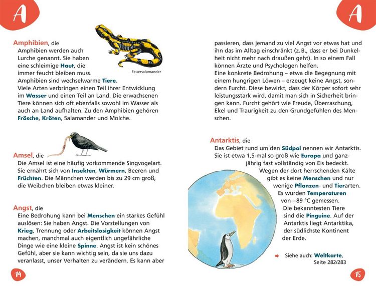 Produktbild: Das Grundschullexikon