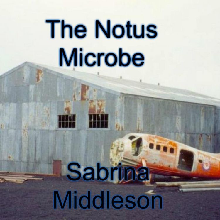 Produktbild: The Notus Microbe