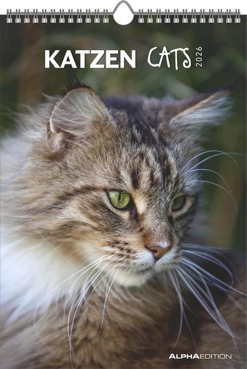 Bild vom Artikel Katzen 2026 - Bildkalender 23,7x34 cm - Kalender mit Platz für Notizen - mit vielen Zusatzinformationen - Cats - Wandkalender - Alpha Edition vom Autor Alpha Edition