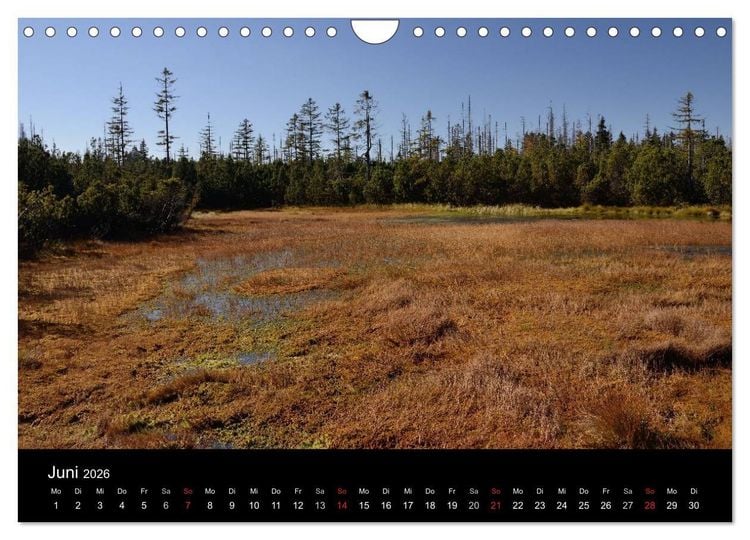 Produktbild: Zauberhafter Bayerischer Wald (Wandkalender 2026 DIN A4 quer), CALVENDO Monatskalender