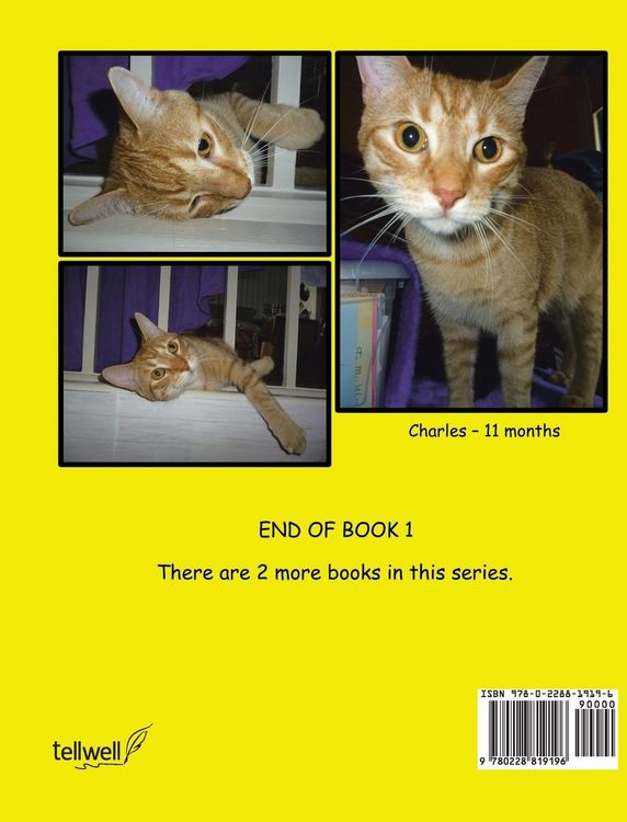 Produktbild: The Adventures of Charles The Cat With The Question Mark Tail