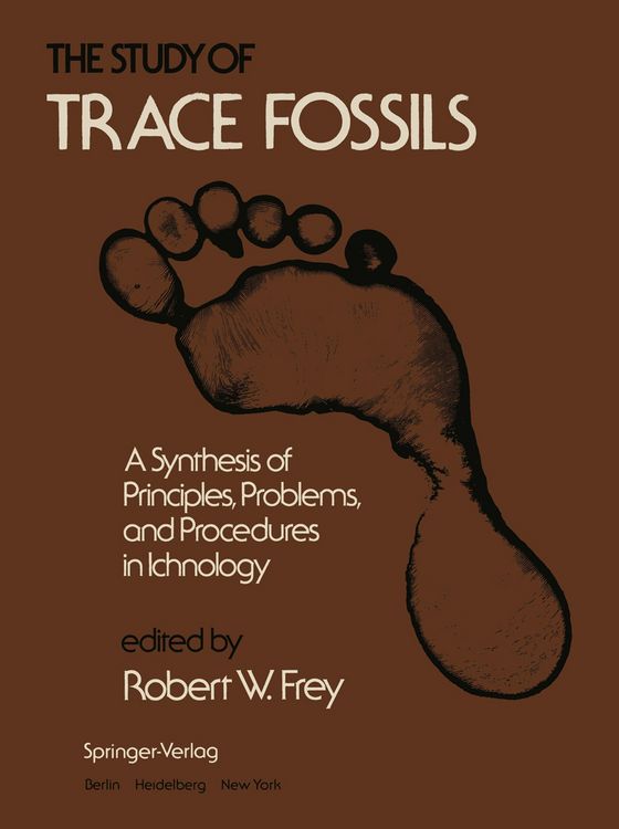 Produktbild: The Study of Trace Fossils