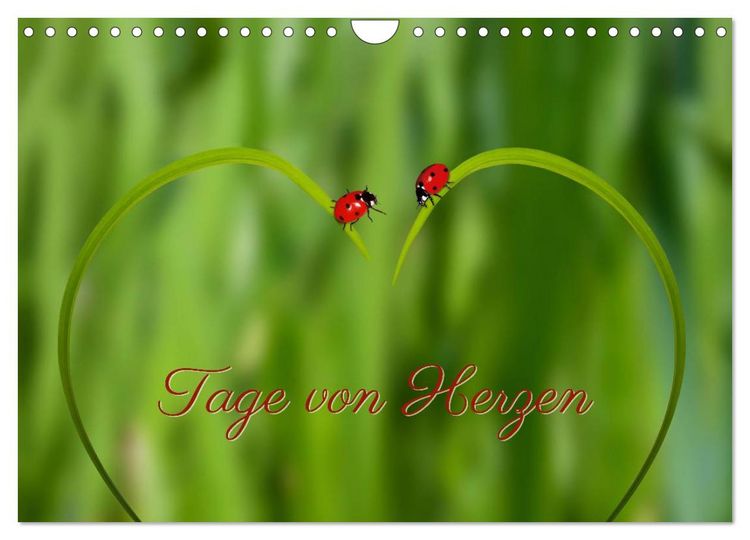 Produktbild: Tage von Herzen (Wandkalender 2026 DIN A4 quer), CALVENDO Monatskalender