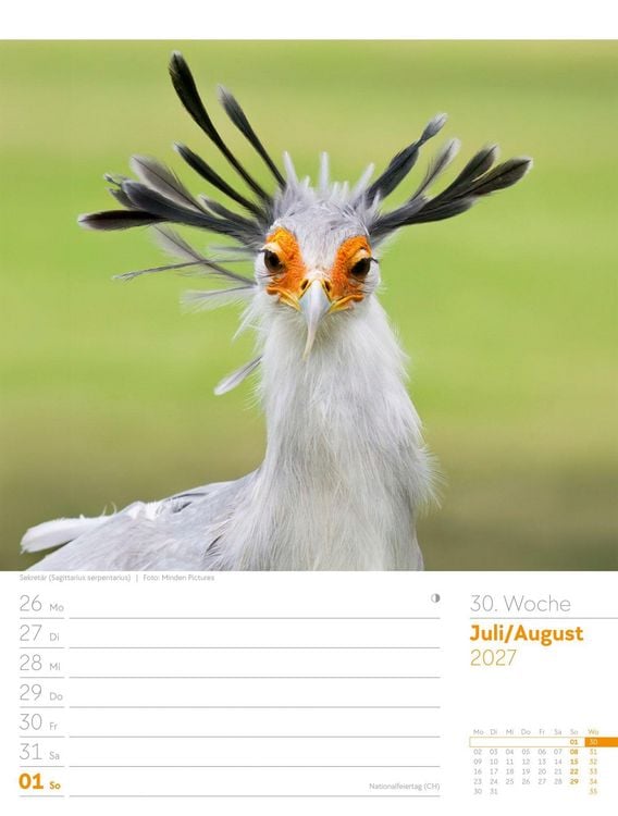 Produktbild: V&ouml;gel Wochenplaner Kalender 2027