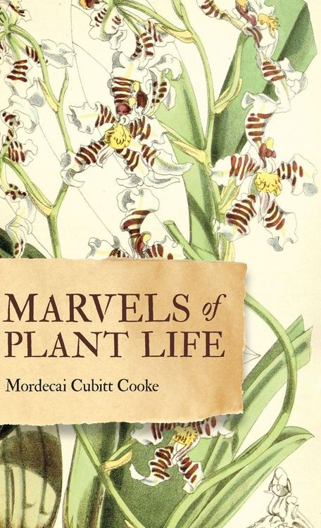 Produktbild: Marvels of Plant Life