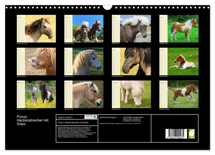 Produktbild: Ponys. Herzensbrecher mit Grips (Wandkalender 2026 DIN A3 quer), CALVENDO Monatskalender