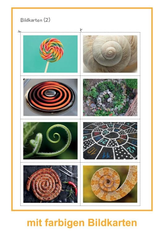 Produktbild: Schnecken