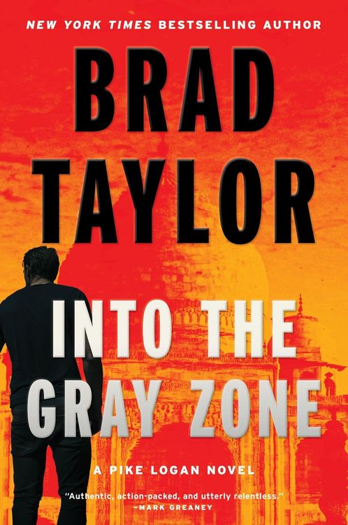 Produktbild: Into the Gray Zone