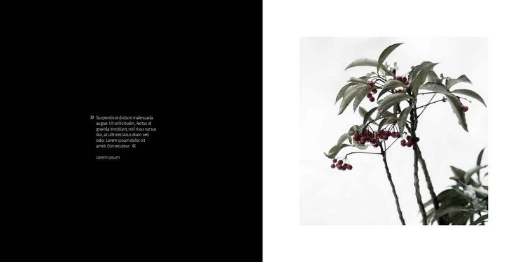 Produktbild: The Magic of Japanese Zen Gardens
