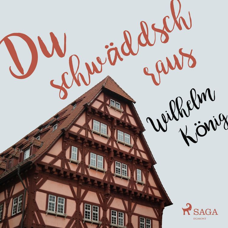 Produktbild: Du schw&auml;ddsch raus (Ungek&uuml;rzt)