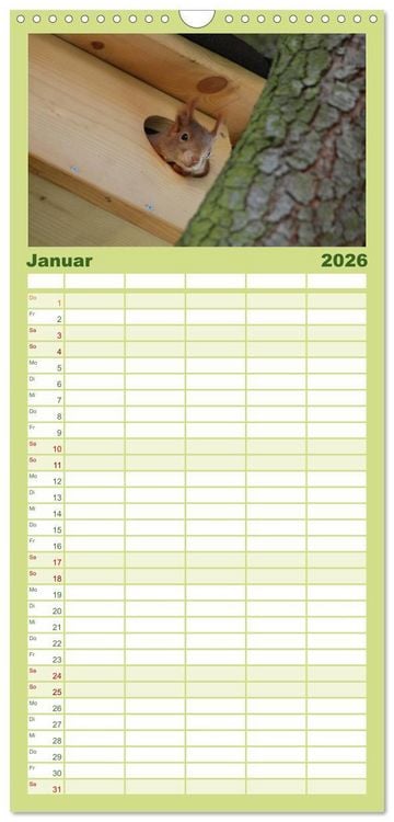 Produktbild: Familienplaner 2026 - Spa&szlig; mit Eichh&ouml;rnchen-Kindern mit 5 Spalten (Wandkalender, 21 x 45 cm) CALVENDO