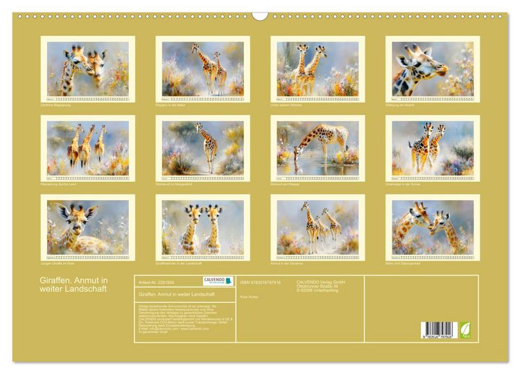 Produktbild: Giraffen. Anmut in weiter Landschaft (Wandkalender 2027 DIN A2 quer), CALVENDO Monatskalender