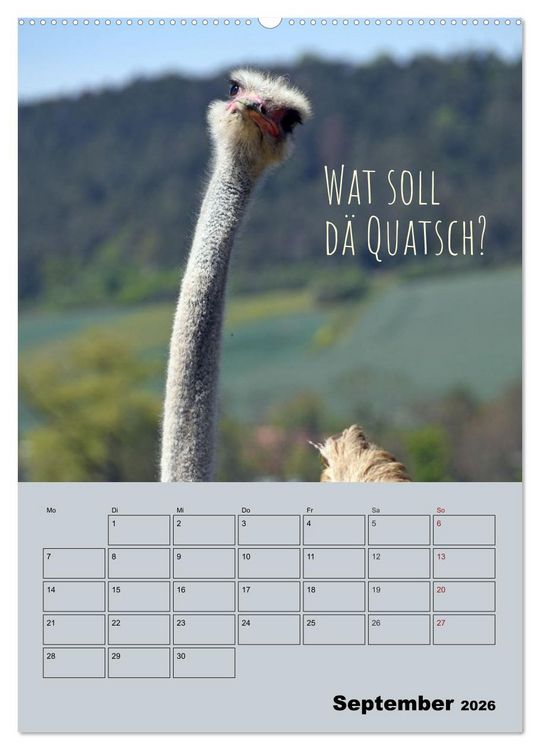 Produktbild: K&ouml;lsches Grundgesetz (hochwertiger Premium Wandkalender 2026 DIN A2 hoch), Kunstdruck in Hochglanz