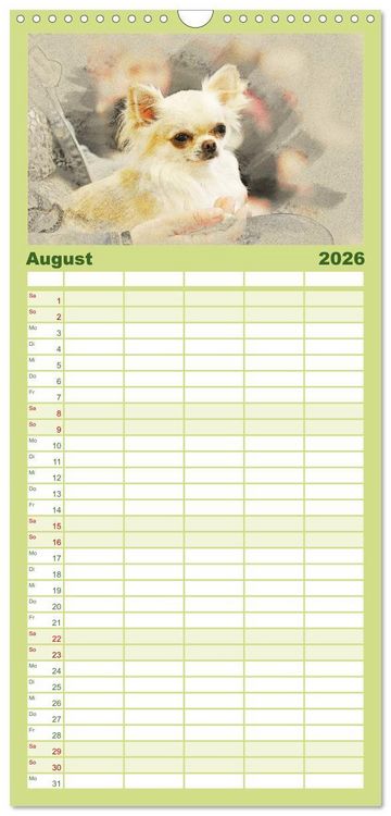 Produktbild: Familienplaner 2026 - Chihuahuas 2026 mit 5 Spalten (Wandkalender, 21 x 45 cm) CALVENDO