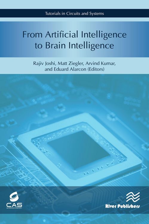 Produktbild: From Artificial Intelligence to Brain Intelligence