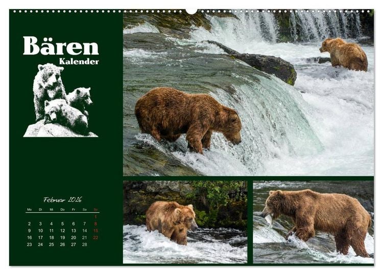Produktbild: B&auml;renkalender (hochwertiger Premium Wandkalender 2026 DIN A2 quer), Kunstdruck in Hochglanz