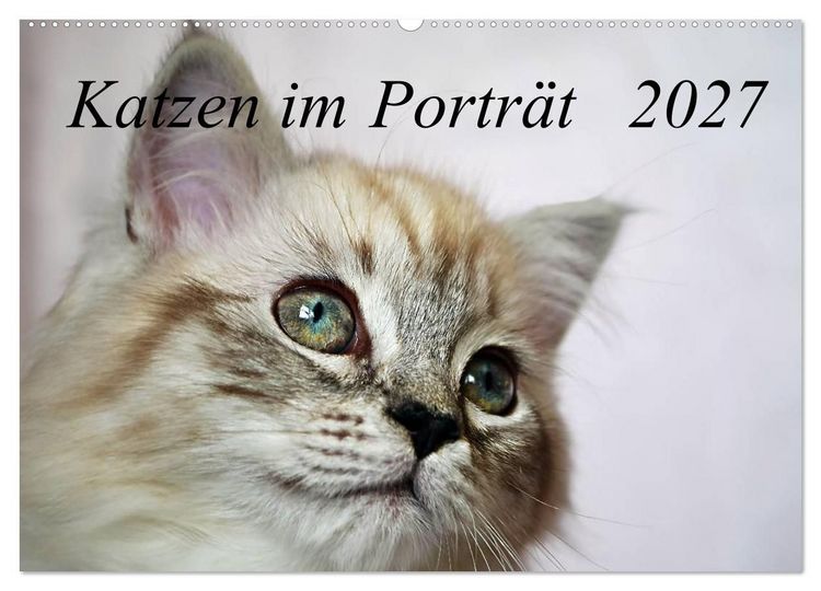 Produktbild: Katzen im Portr&auml;t / Geburtstagskalender (Wandkalender 2027 DIN A2 quer), CALVENDO Monatskalender