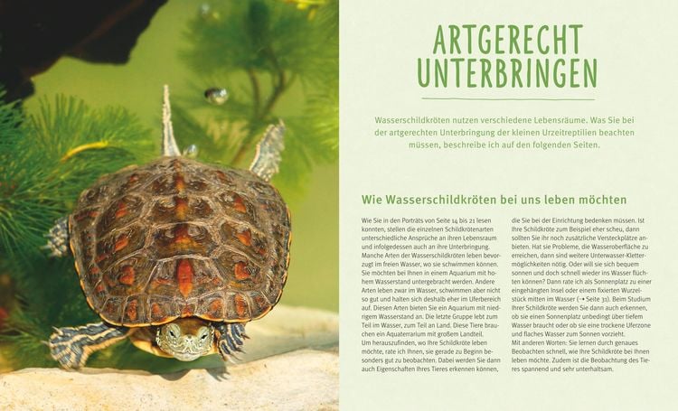 Wasserschildkröten