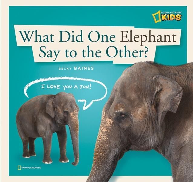 Produktbild: Zigzag What Did 1 Elephant Say
