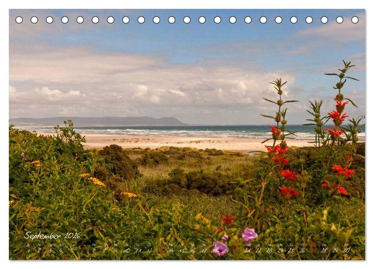 Produktbild: Am Kap von S&uuml;dafrika (Tischkalender 2026 DIN A5 quer), CALVENDO Monatskalender