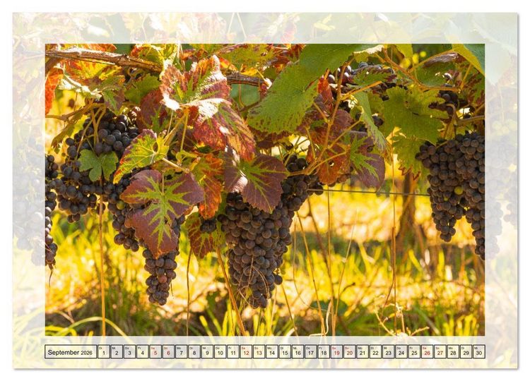 Produktbild: Jeden Monat in der Natur (Wandkalender 2026 DIN A2 quer), CALVENDO Monatskalender