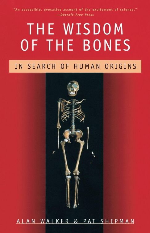 Produktbild: The Wisdom of the Bones
