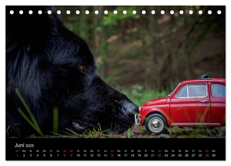 Produktbild: Mit der Knutschkugel auf Reisen (Tischkalender 2025 DIN A5 quer), CALVENDO Monatskalender