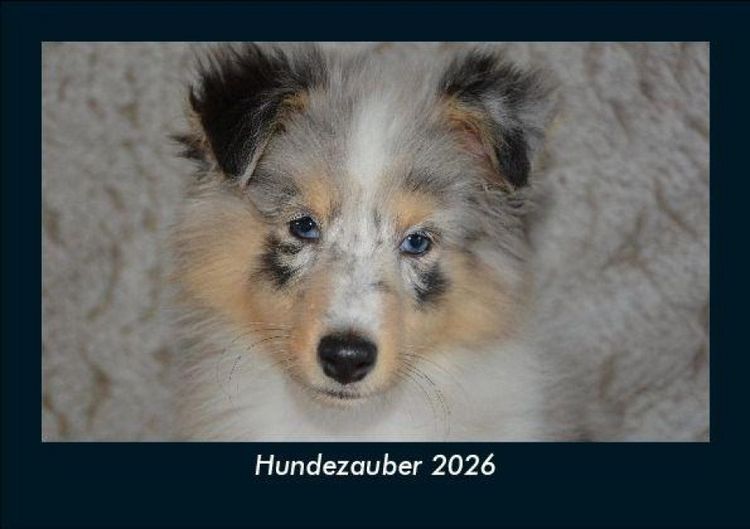 Produktbild: Hundezauber 2026 Fotokalender DIN A5