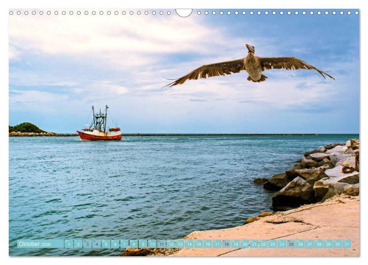 Produktbild: Florida - Sonnige Str&auml;nde und magische S&uuml;mpfe (Wandkalender 2026 DIN A3 quer), CALVENDO Monatskalender