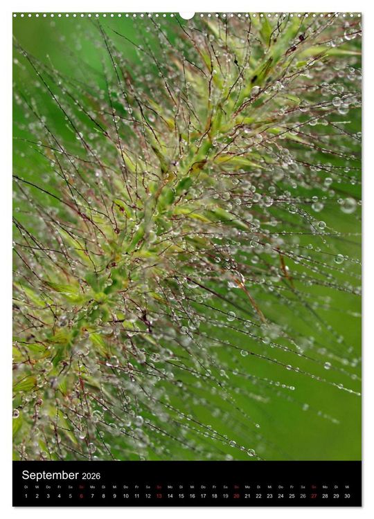 Produktbild: Kunst in der Natur (Wandkalender 2026 DIN A2 hoch), CALVENDO Monatskalender