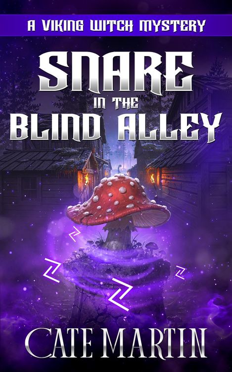 Produktbild: Snare in the Blind Alley (The Viking Witch Mysteries, #15)