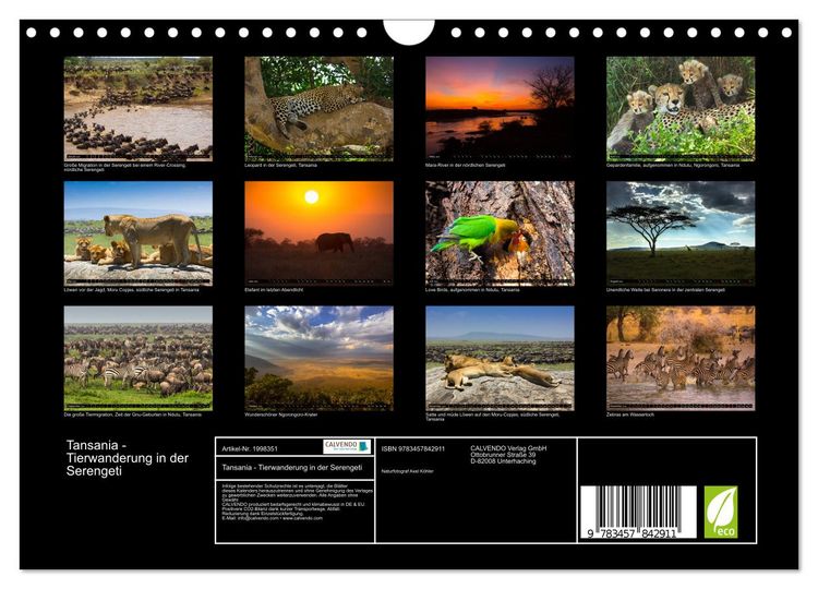 Produktbild: Tansania - Tierwanderung in der Serengeti (Wandkalender 2026 DIN A4 quer), CALVENDO Monatskalender
