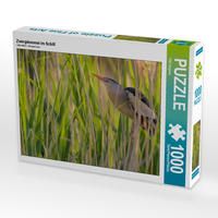Produktbild: CALVENDO Puzzle Zwergdommel im Schilf | 1000 Teile Lege-Gr&ouml;&szlig;e 64x48cm Foto-Puzzle f&uuml;r gl&uuml;ckliche Stunden