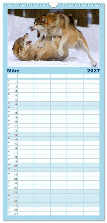 Produktbild: Familienplaner 2027 - Kanadische W&ouml;lfe im Winter mit 5 Spalten (Wandkalender, 21 x 45 cm) CALVENDO