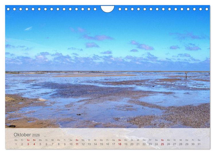 Produktbild: Salzwiesen, Schafe und Watt - Westerhever, ein Naturparadies an der Nordsee (Wandkalender 2026 DIN A4 quer), CALVENDO Monatskalender
