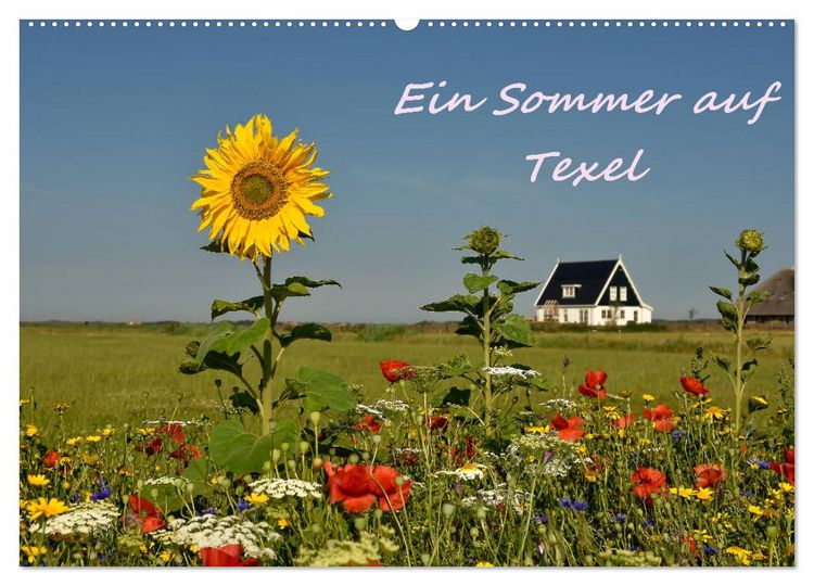 Produktbild: Ein Sommer auf Texel (Wandkalender 2026 DIN A2 quer), CALVENDO Monatskalender
