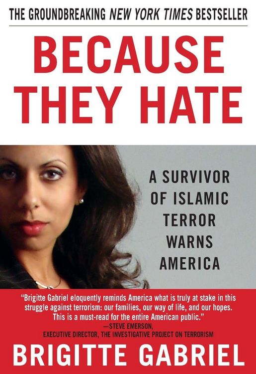 Produktbild: Because They Hate