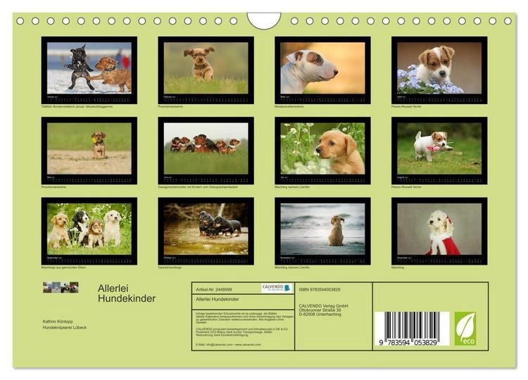 Produktbild: Allerlei Hundekinder (Wandkalender 2027 DIN A4 quer), CALVENDO Monatskalender