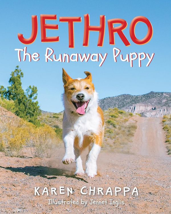 Produktbild: Jethro The Runaway Puppy