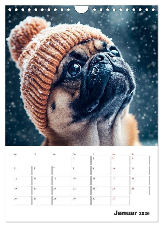 Produktbild: MOPS Pfotengl&uuml;ck in Faltenform (Wandkalender 2026 DIN A4 hoch), CALVENDO Monatskalender