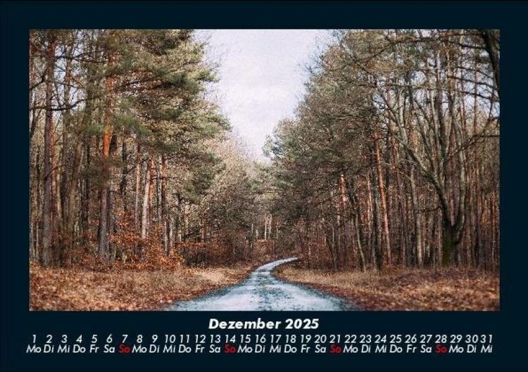 Produktbild: Waldzauber 2025 Fotokalender DIN A5