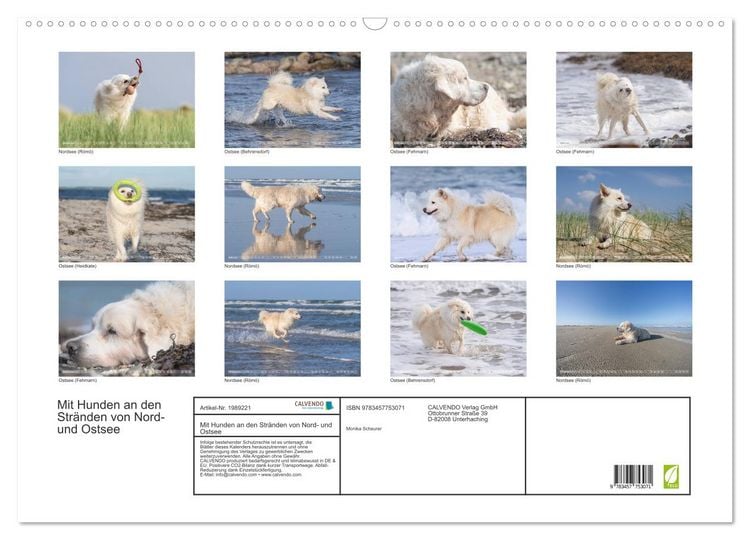 Produktbild: Mit Hunden an den Str&auml;nden von Nord- und Ostsee (Wandkalender 2026 DIN A2 quer), CALVENDO Monatskalender