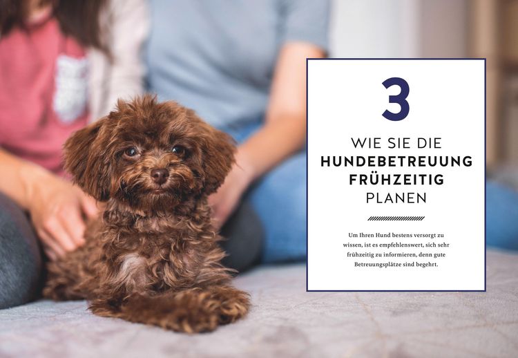 Produktbild: Wohin mit meinem Hund?