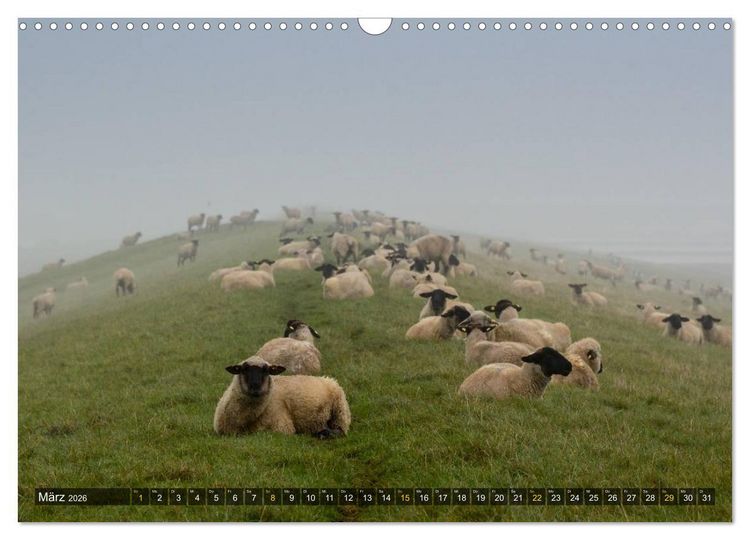 Produktbild: Impressionen aus dem Wesermarsch - Butjadingen 2026 (Wandkalender 2026 DIN A3 quer), CALVENDO Monatskalender