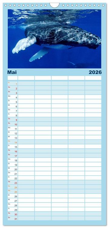 Produktbild: Familienplaner 2026 - Delfine und Wale mit 5 Spalten (Wandkalender, 21 x 45 cm) CALVENDO