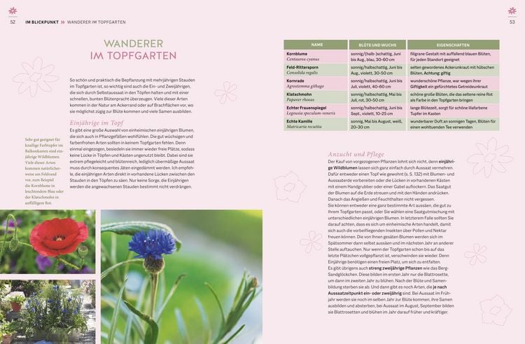 Produktbild: Wildblumen f&uuml;r Balkon und Terrasse