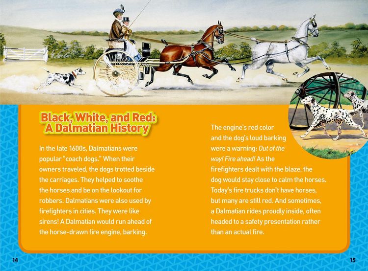 Produktbild: National Geographic Kids Chapters: Hero Dogs!