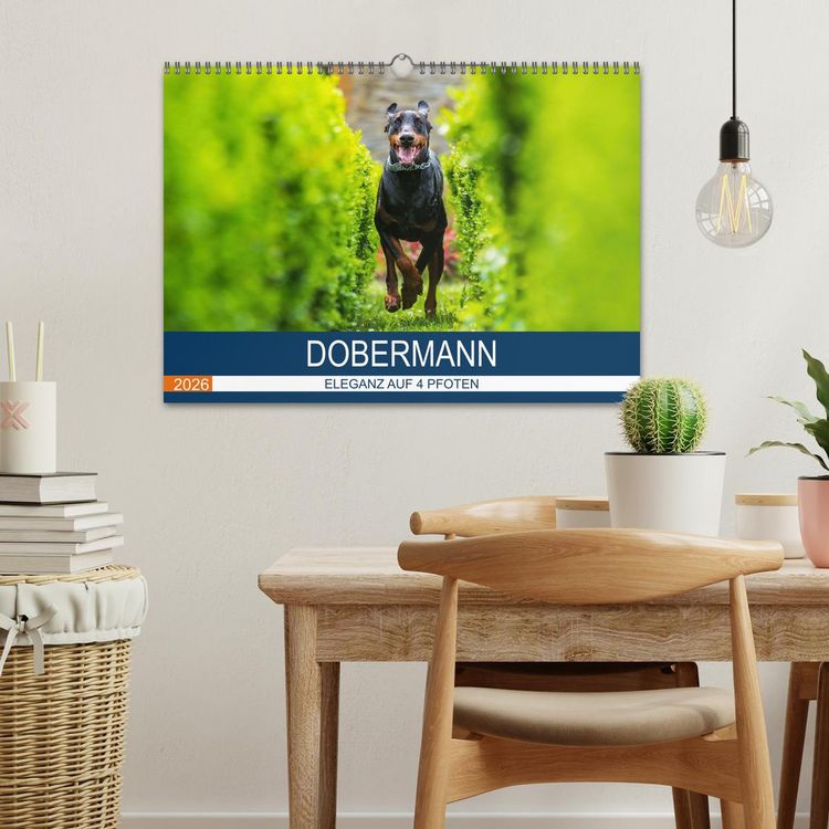 Produktbild: Dobermann 2026 (Wandkalender 2026 DIN A3 quer), CALVENDO Monatskalender