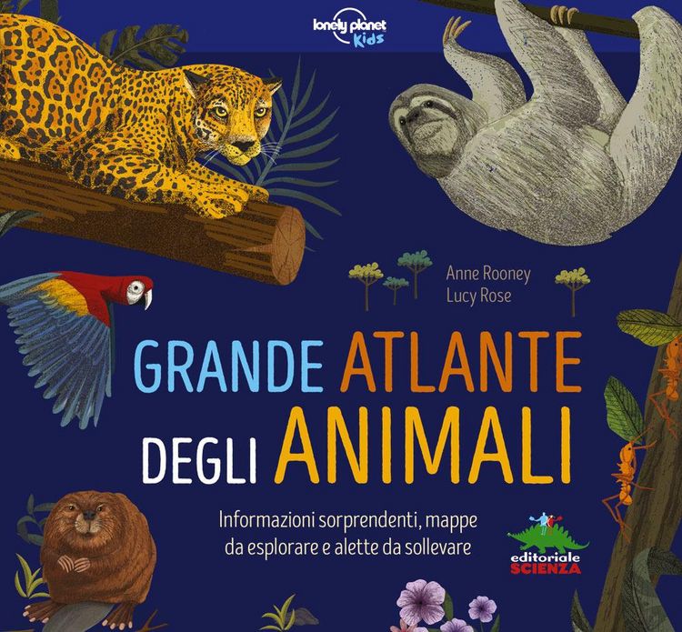 Produktbild: Grande atlante degli animali. Informazioni sorprendenti, mappe da esplorare e alette da sollevare
